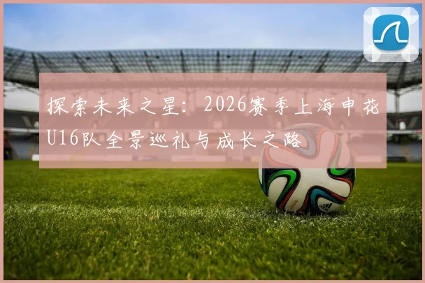 探索未来之星：2026赛季上海申花U16队全景巡礼与成长之路