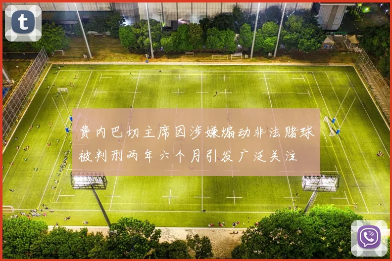 费内巴切主席因涉嫌煽动非法赌球被判刑两年六个月引发广泛关注