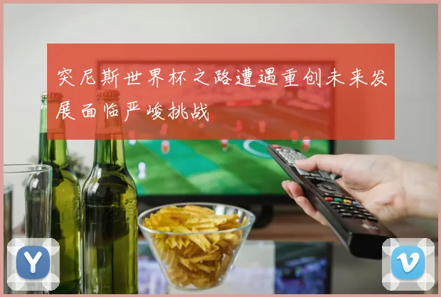 突尼斯世界杯之路遭遇重创未来发展面临严峻挑战